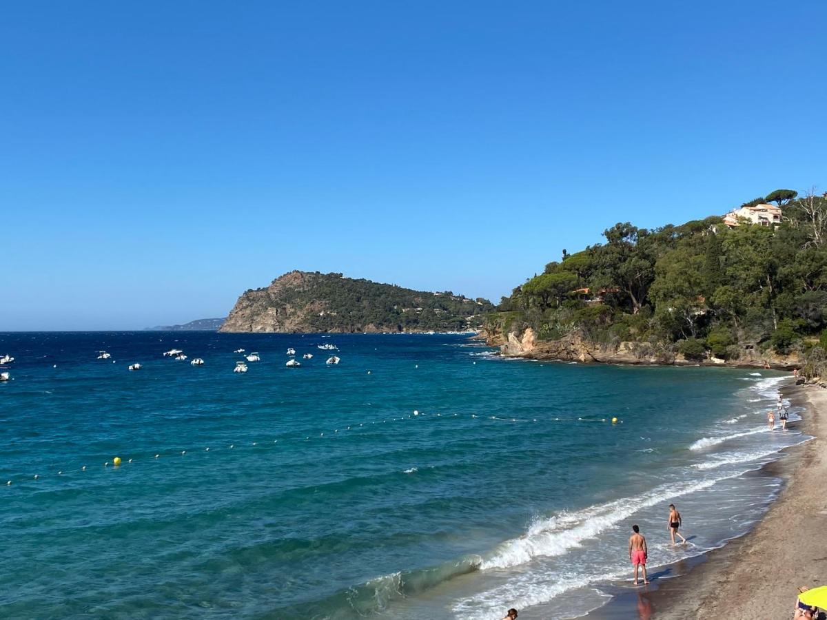L'Arbousier Bed & Breakfast Rayol-Canadel-sur-Mer Exterior photo